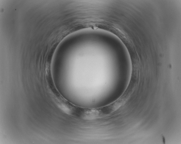 X0000073860125200608101300