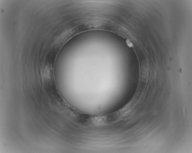 X0000073860126200608101300