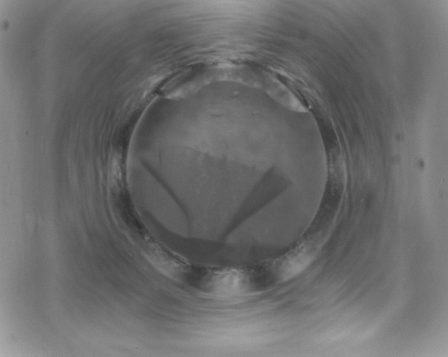 X0000073860127200608101300