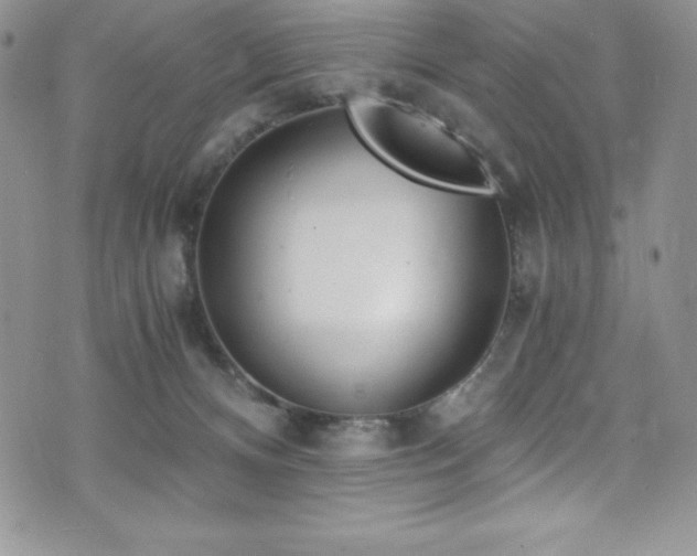 X0000073860128200608101300