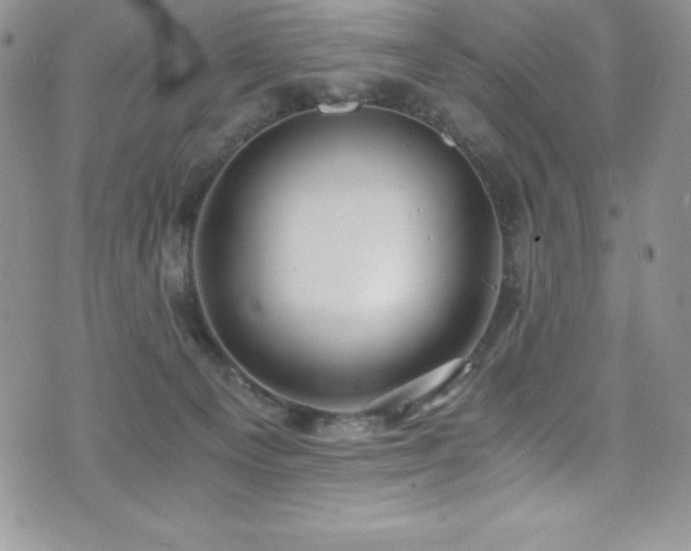 X0000073860129200608101300