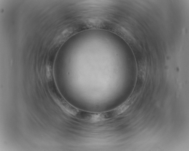 X0000073860130200608101300