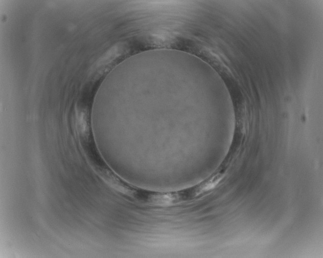 X0000073860131200608101300