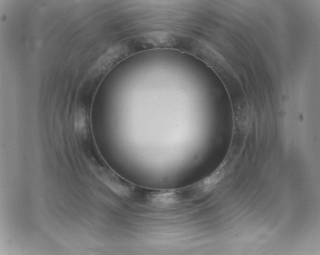 X0000073860132200608101300