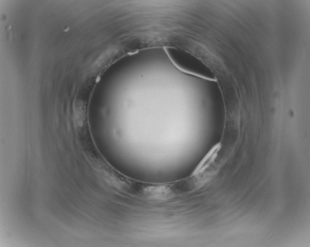 X0000073860133200608101300