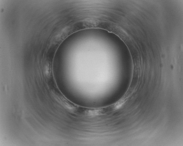 X0000073860134200608101300