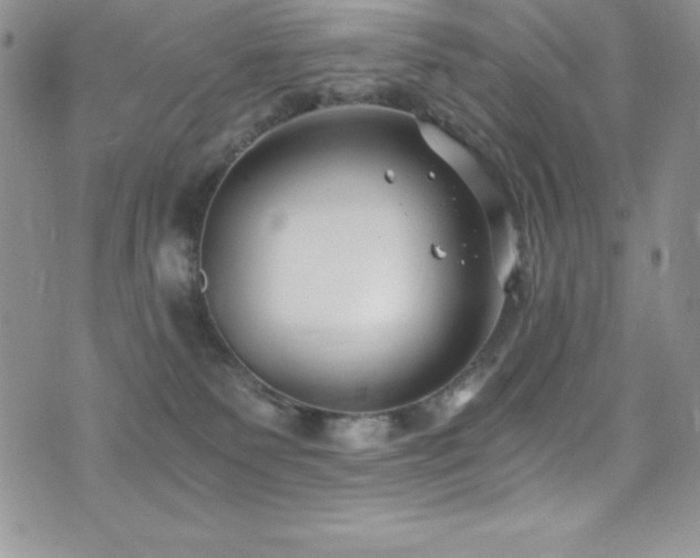 X0000073860135200608101300