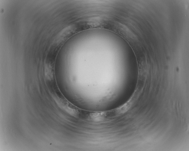 X0000073860136200608101300