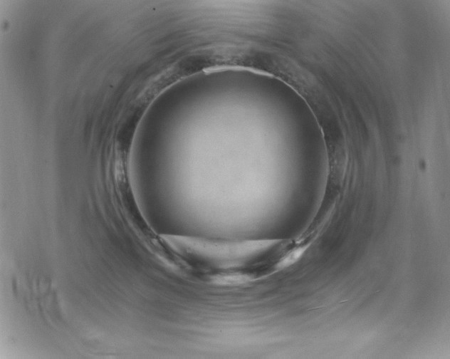 X0000073860137200608101300