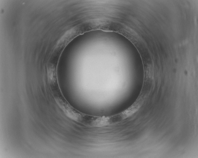 X0000073860138200608101300