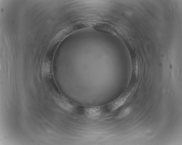 X0000073860139200608101300