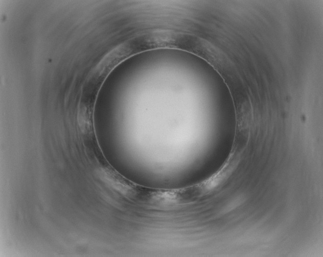 X0000073860140200608101300