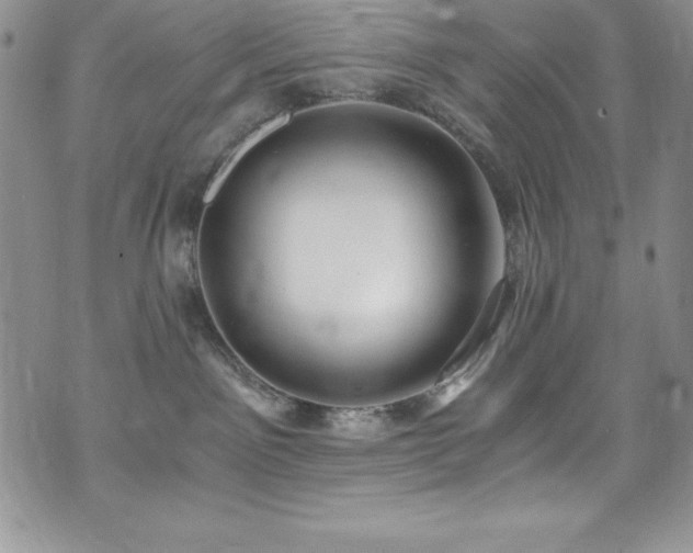 X0000073860141200608101300