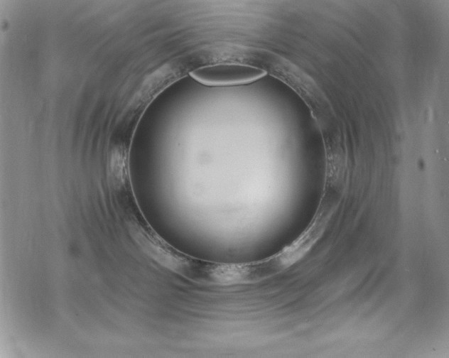 X0000073860142200608101300