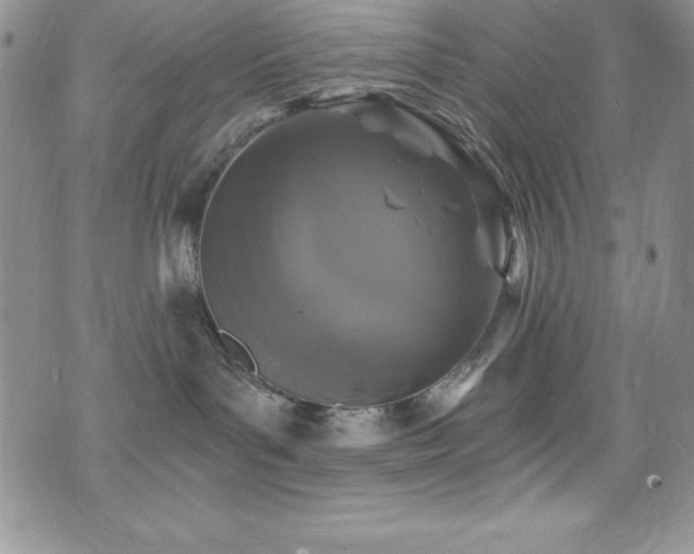 X0000073860143200608101300