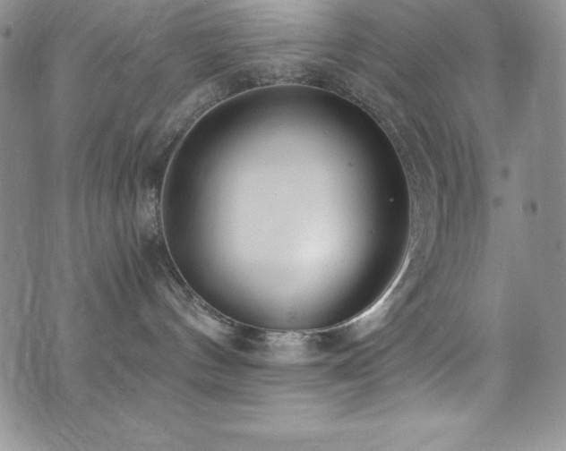 X0000073860144200608101300