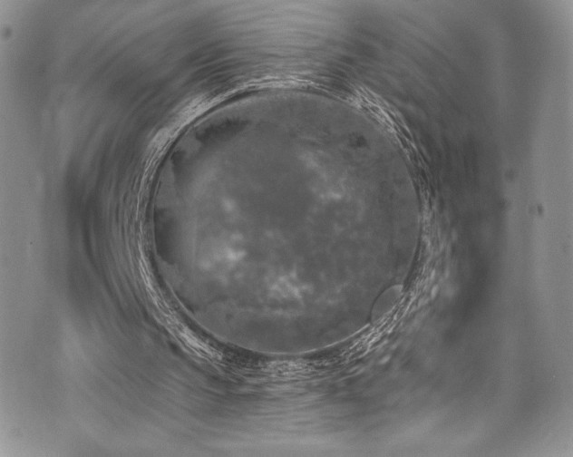 X0000073860145200608101259