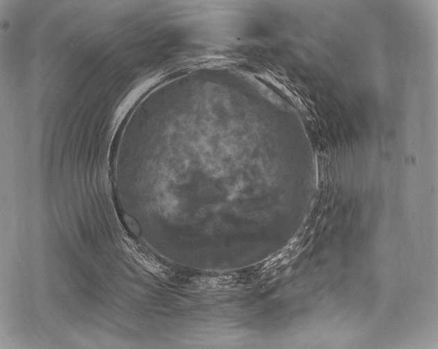 X0000073860147200608101259