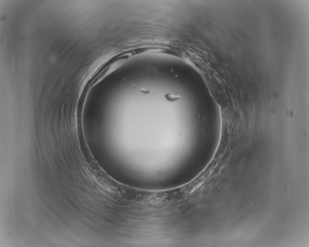 X0000073860148200608101259