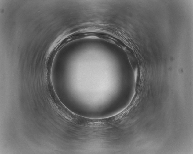 X0000073860150200608101259