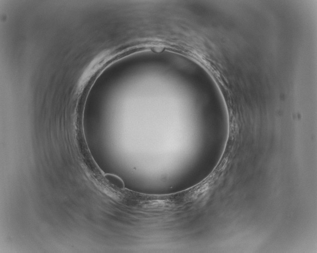 X0000073860151200608101259