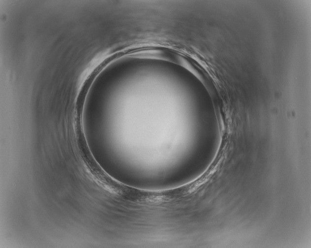 X0000073860152200608101259