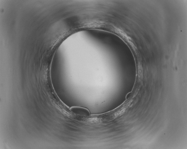 X0000073860153200608101259