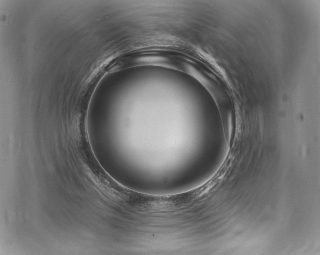 X0000073860154200608101259