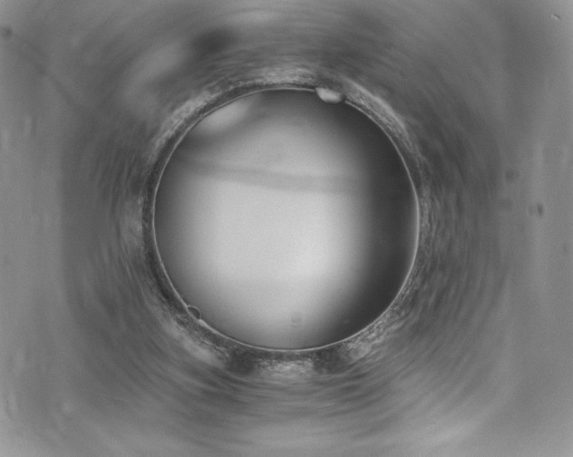 X0000073860155200608101259