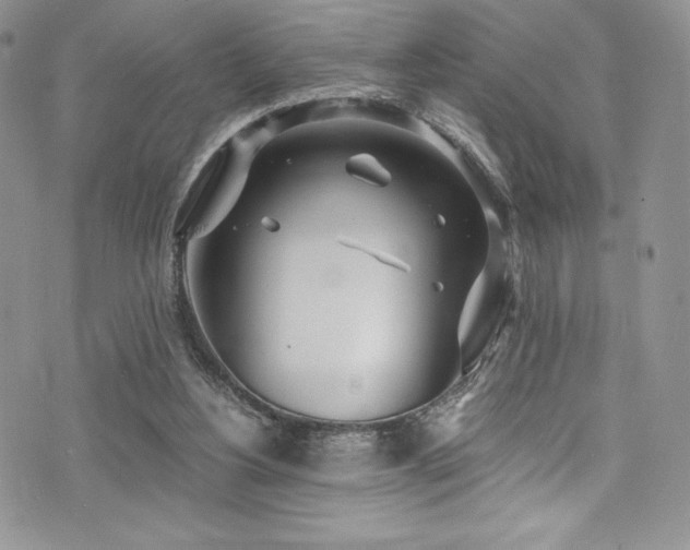 X0000073860156200608101259