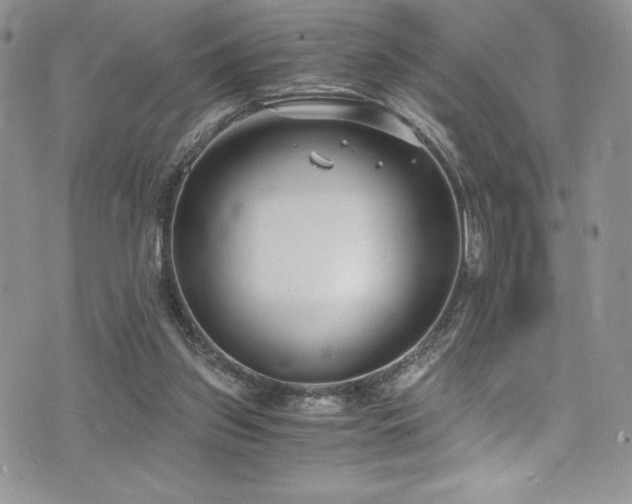 X0000073860157200608101259