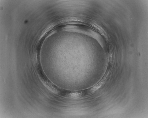 X0000073860158200608101259