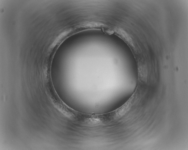 X0000073860159200608101259