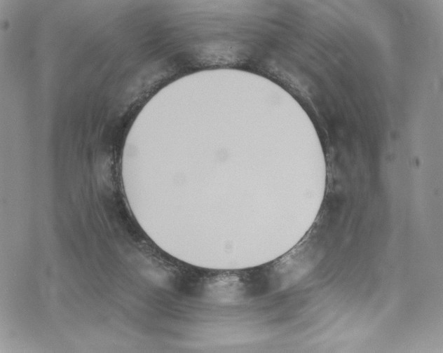 X0000073860162200608101259