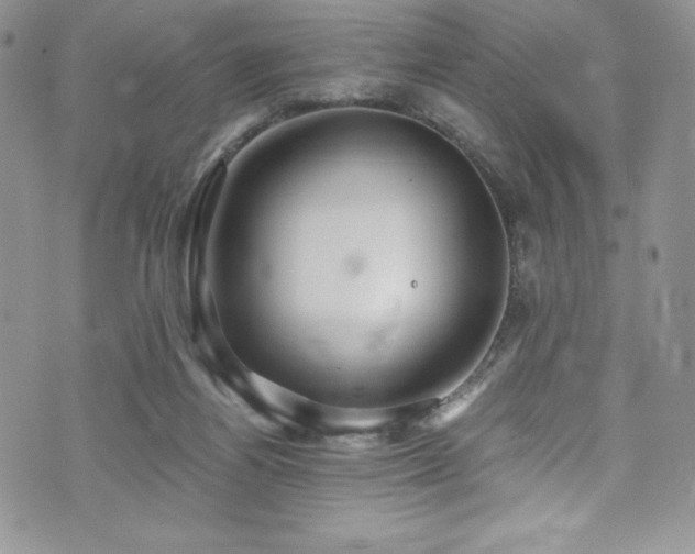 X0000073860164200608101259