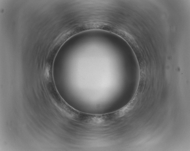 X0000073860166200608101259