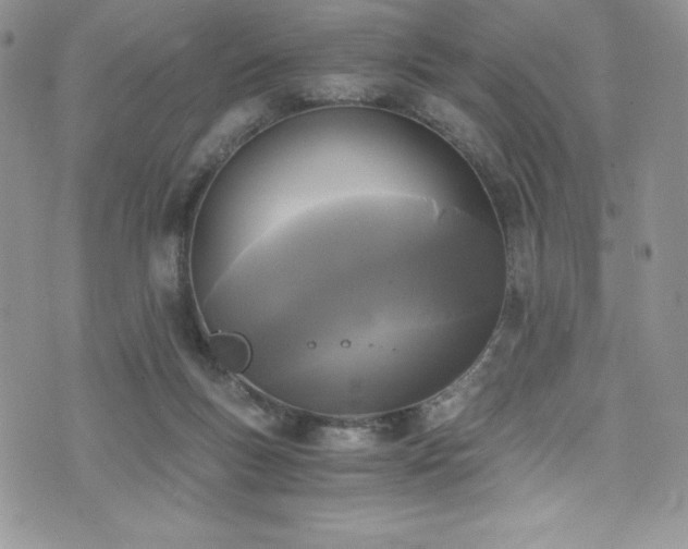 X0000073860167200608101259