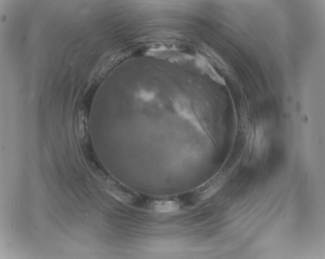 X0000073860169200608101259