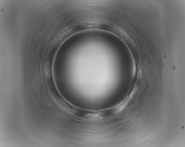 X0000073860170200608101259