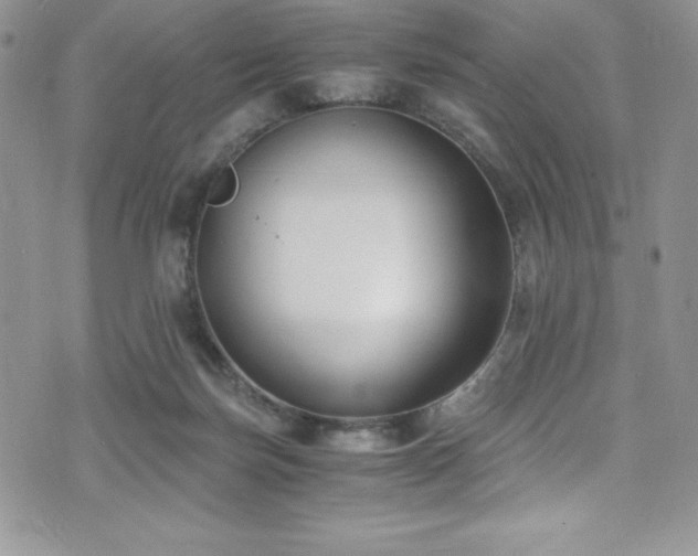 X0000073860171200608101259