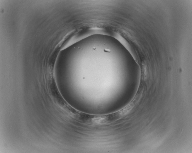 X0000073860172200608101259