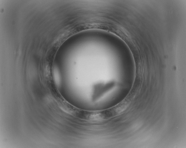 X0000073860173200608101259