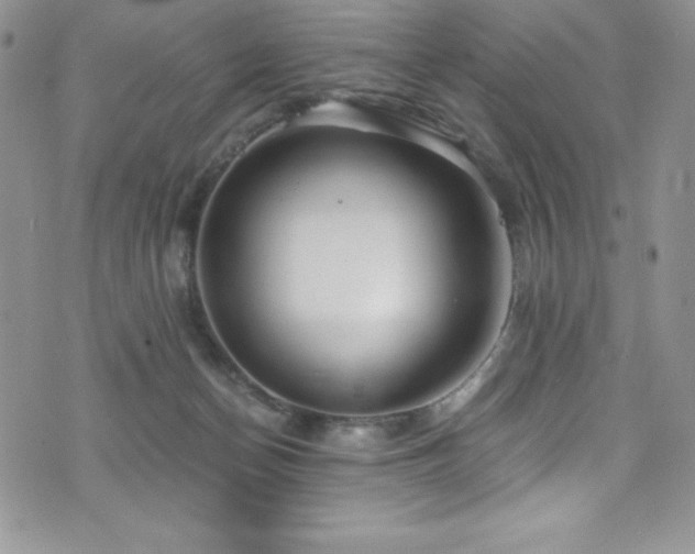 X0000073860174200608101259