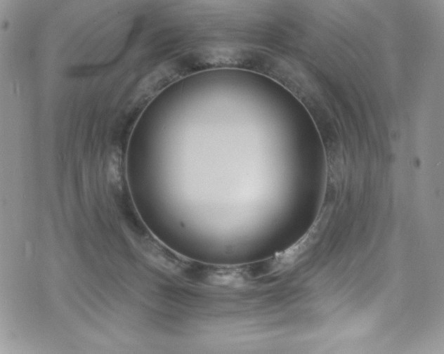 X0000073860175200608101259