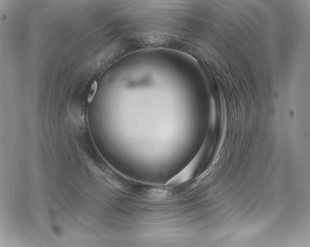 X0000073860176200608101259