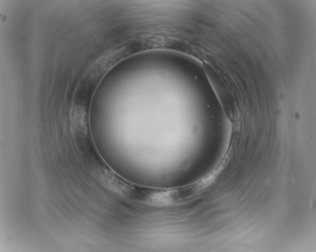 X0000073860178200608101259