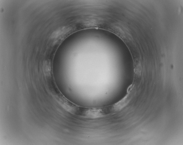 X0000073860179200608101300