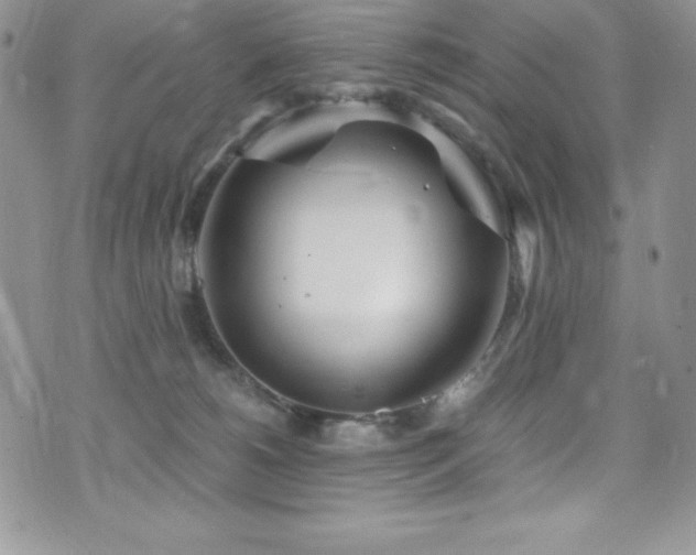 X0000073860180200608101300