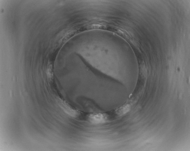 X0000073860181200608101300