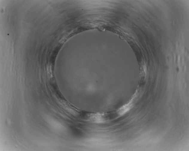 X0000073860182200608101300